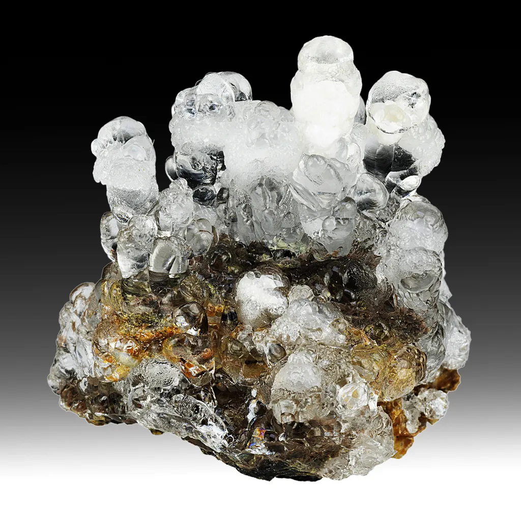 Opal-AN - image 2