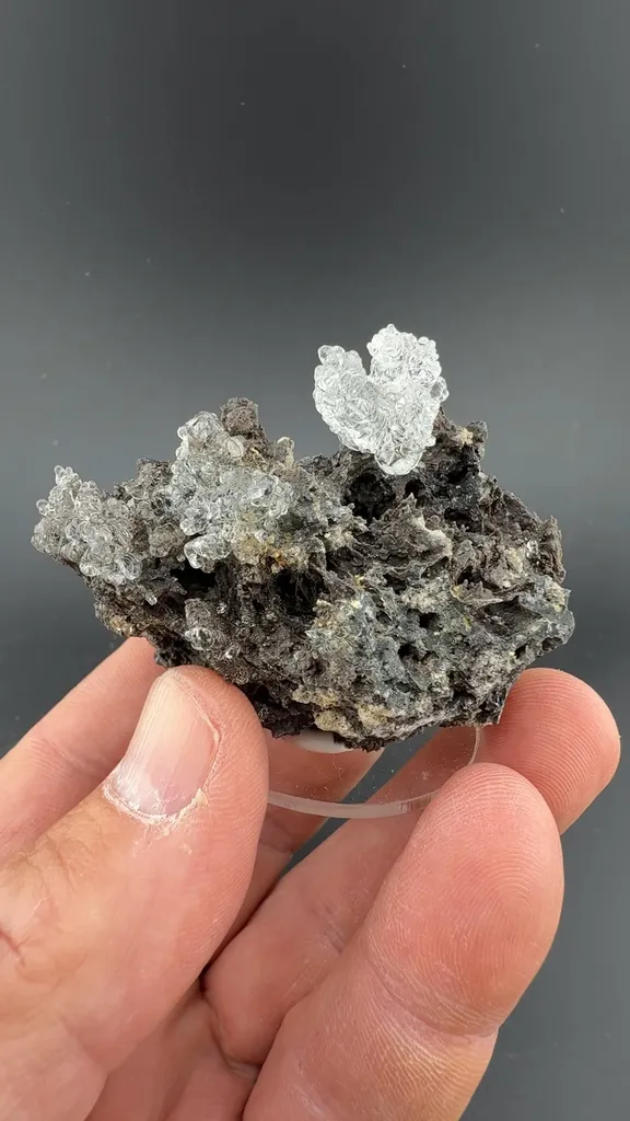 Opal-AN image