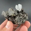 Opal-AN - image 1