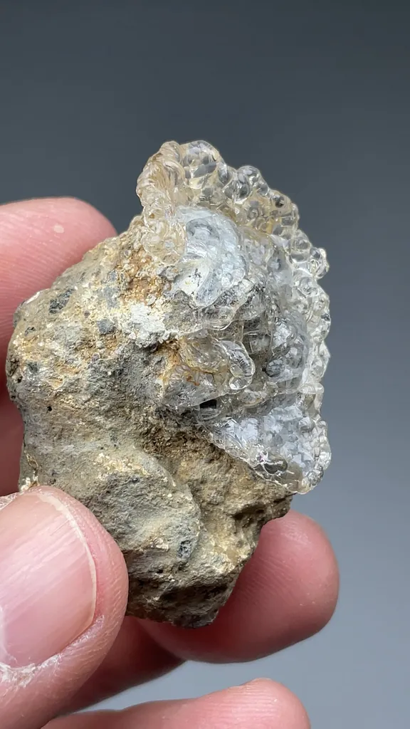 Opal-AN - image 2