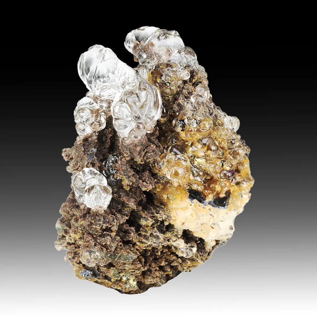 Opal-AN - image 2