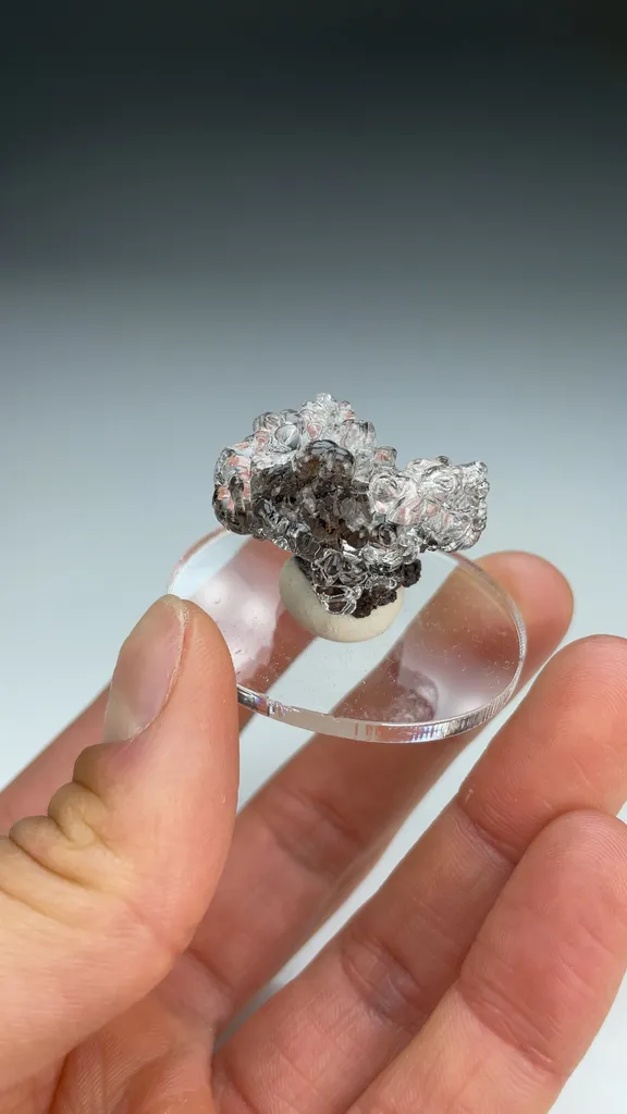Opal-AN - image 3
