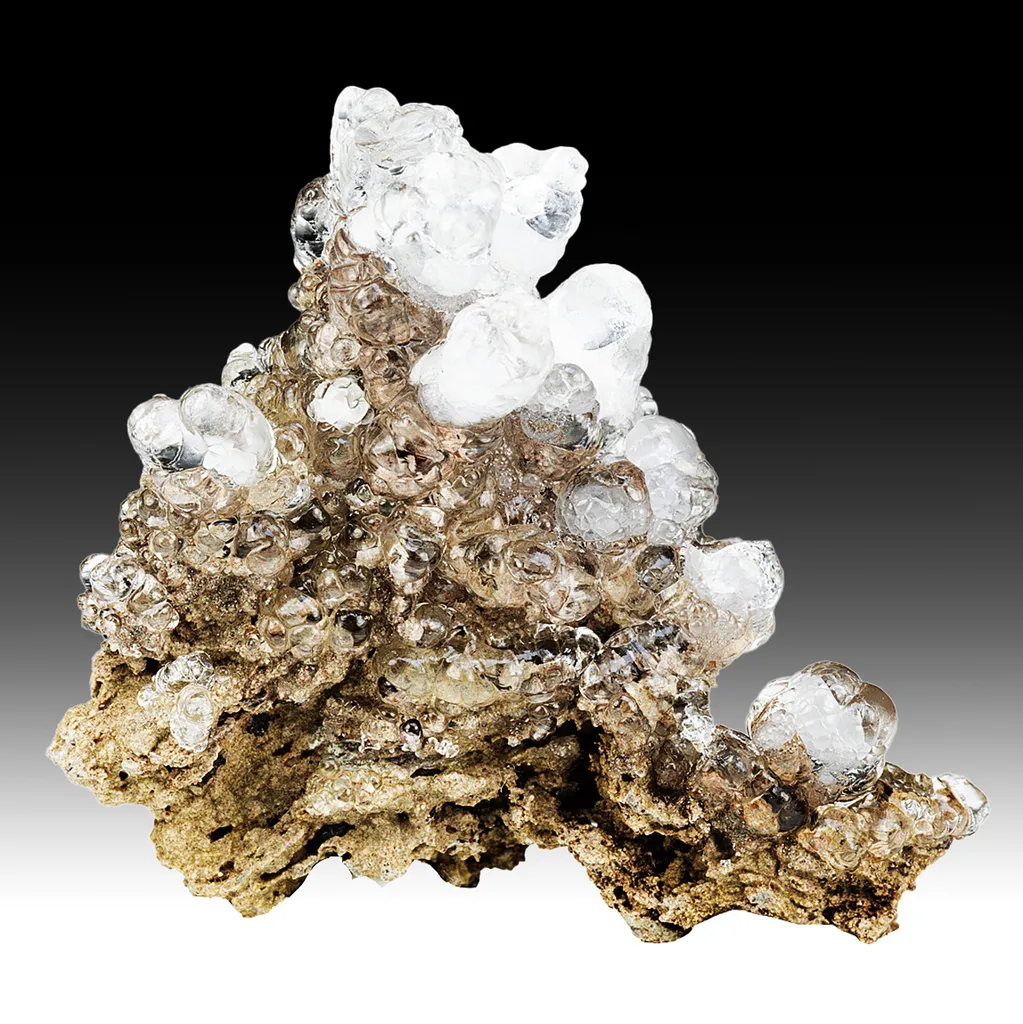 Opal-AN - image 2