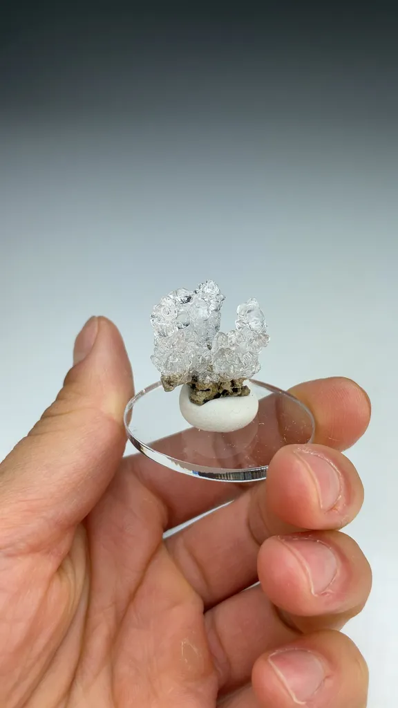 Opal-AN - image 3