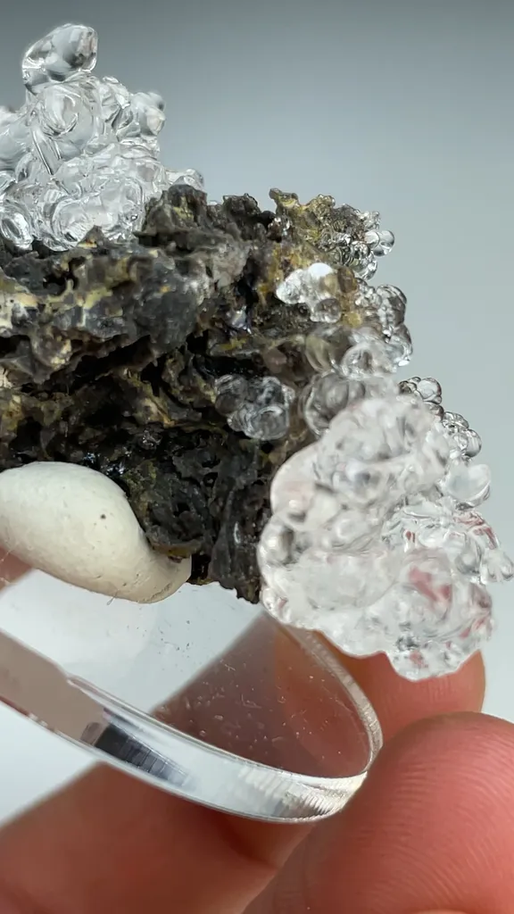 Opal-AN - image 3