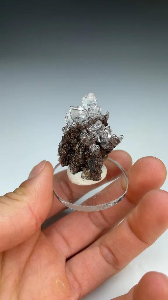 Opal-AN - image 3