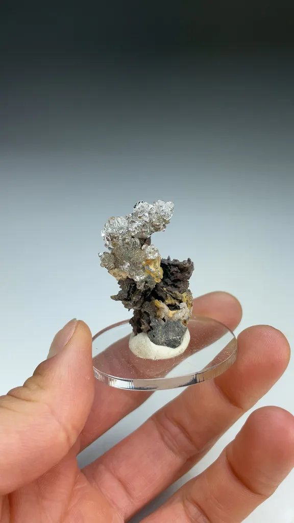 Opal-AN - image 3