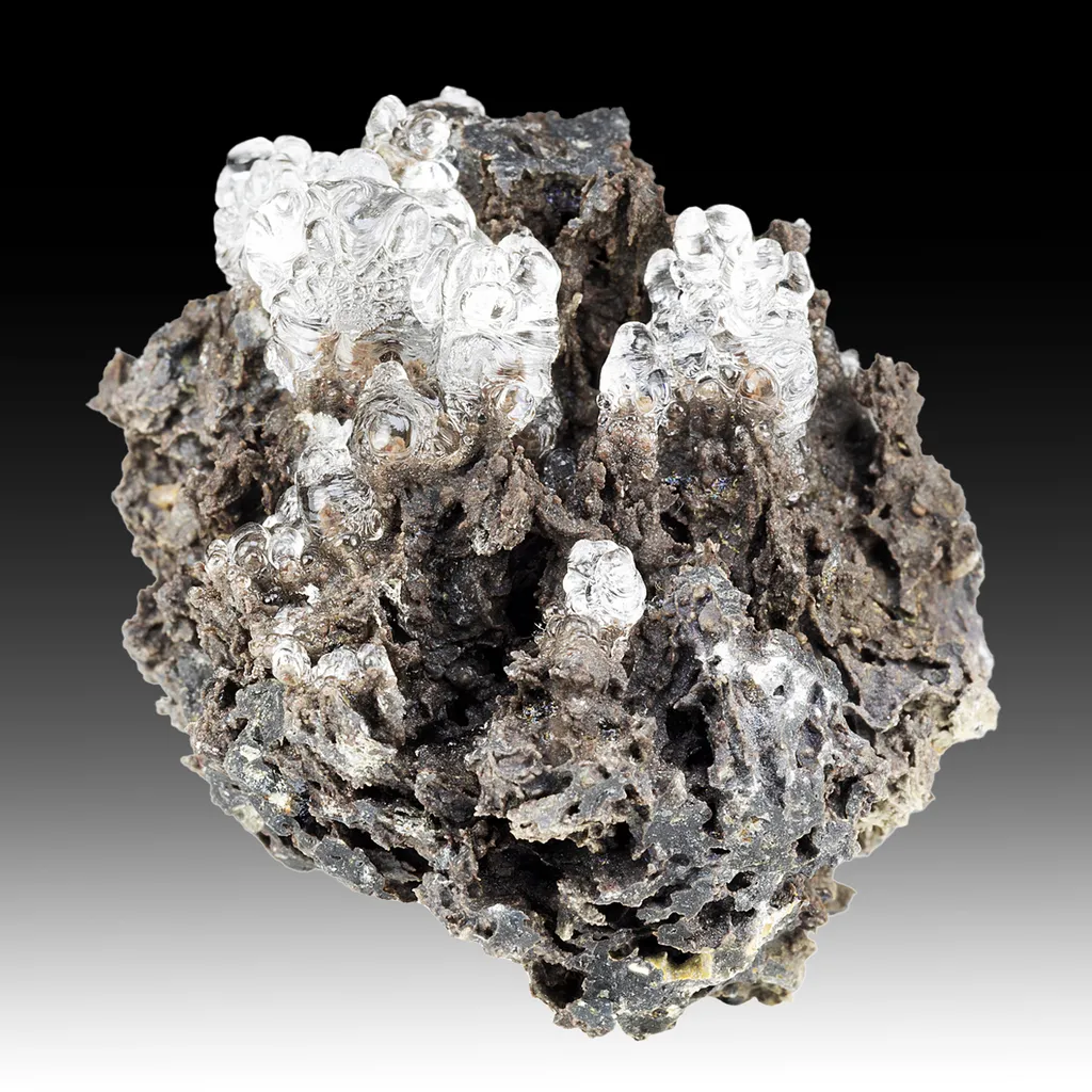 Opal-AN - image 2