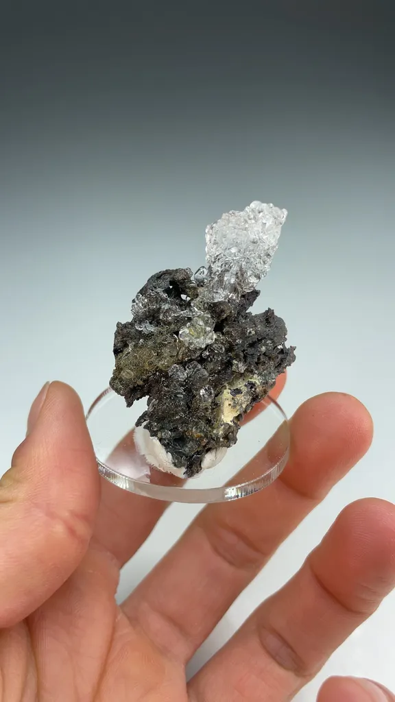 Opal-AN - image 3