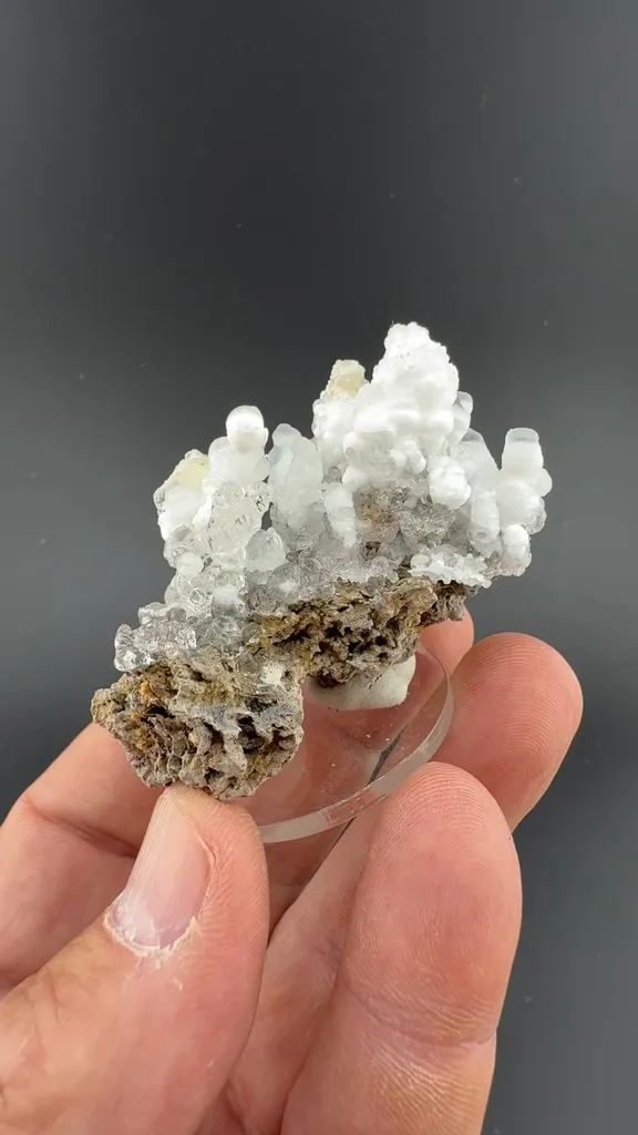 Opal-AN image