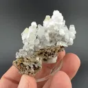 Opal-AN - image 1