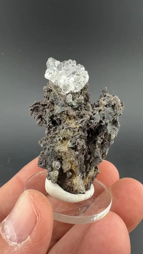 Opal-AN image