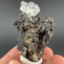 Opal-AN - image 1