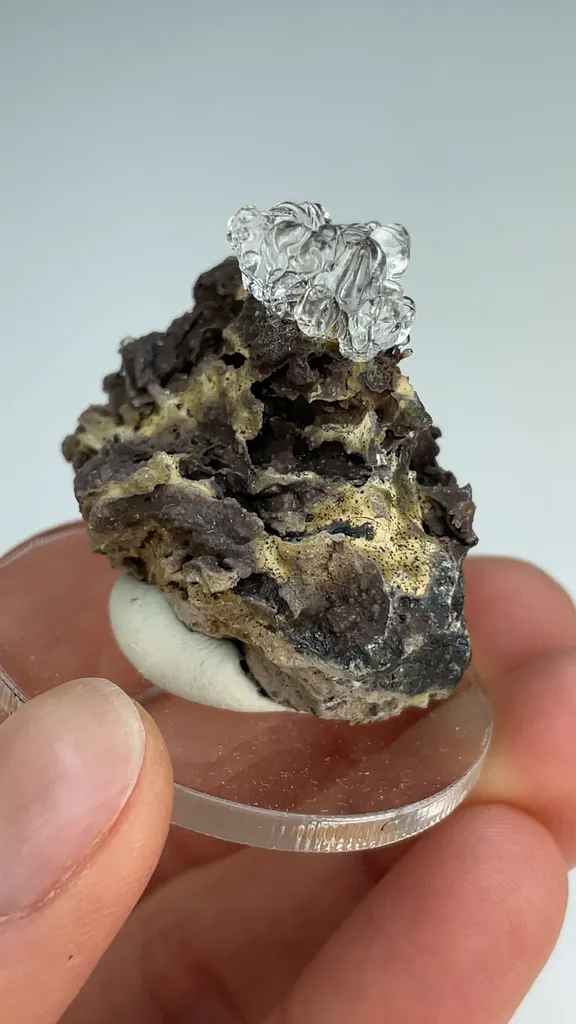 Opal-AN - image 3