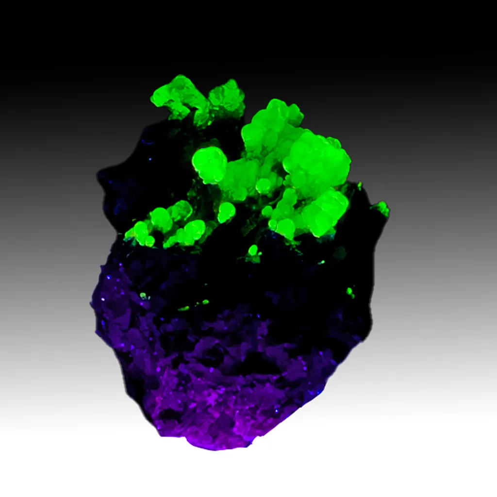 Opal-AN - image 1