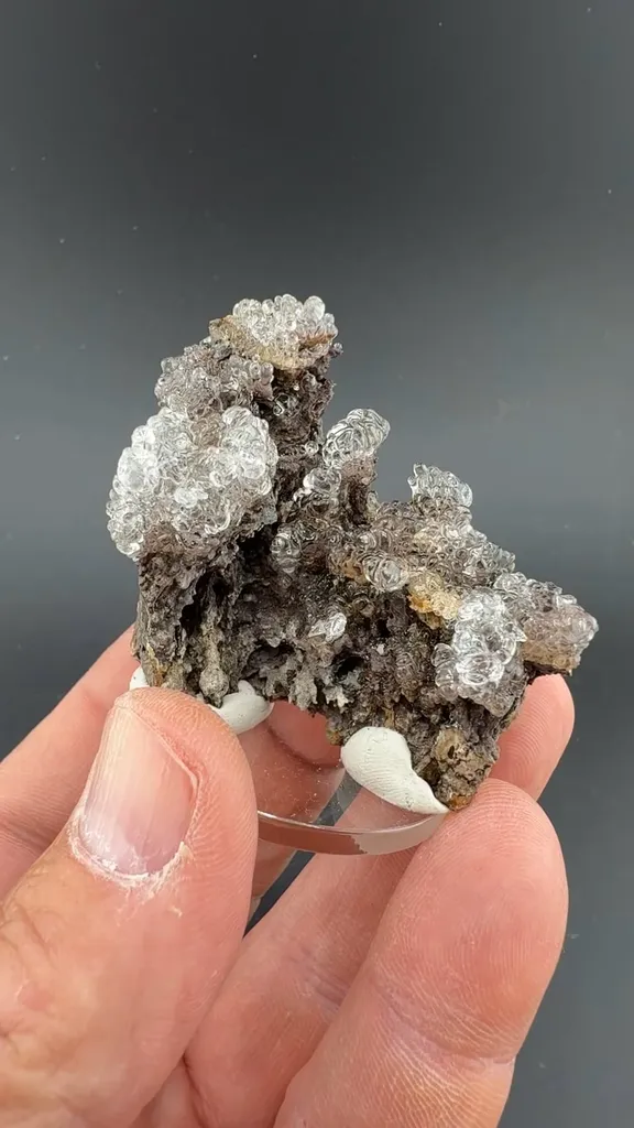 Opal-AN image