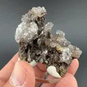 Opal-AN - image 1