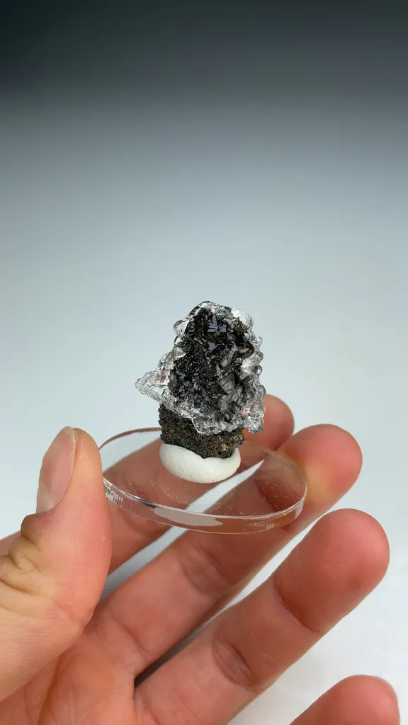 Opal-AN - image 3