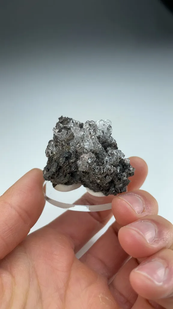 Opal-AN - image 3
