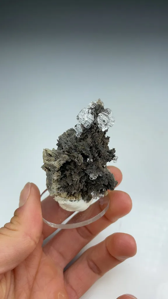 Opal-AN - image 3
