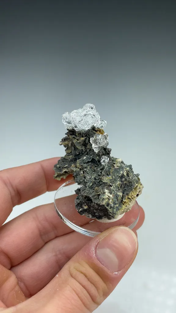 Opal-AN - image 3