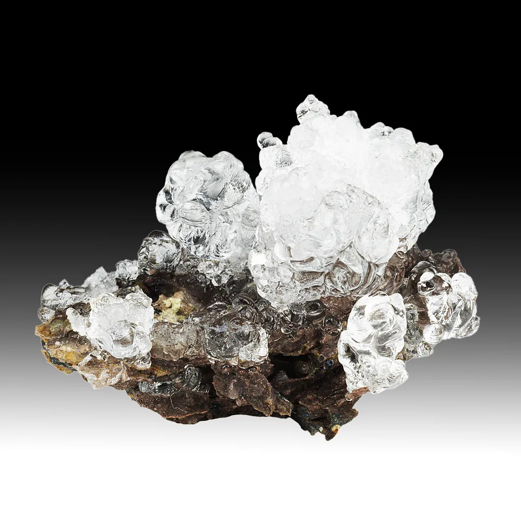 Opal-AN - image 2