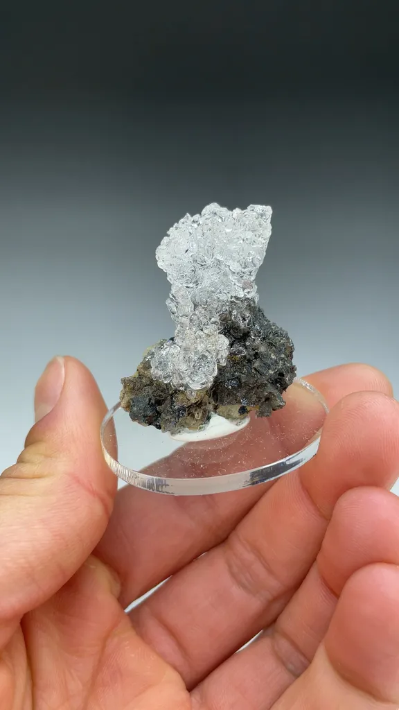 Opal-AN - image 3