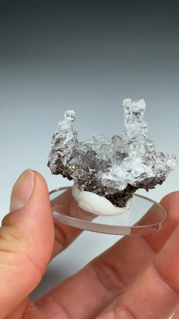 Opal-AN - image 3