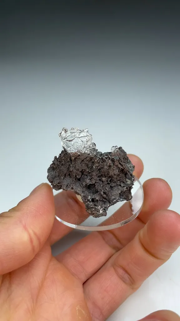 Opal-AN - image 3