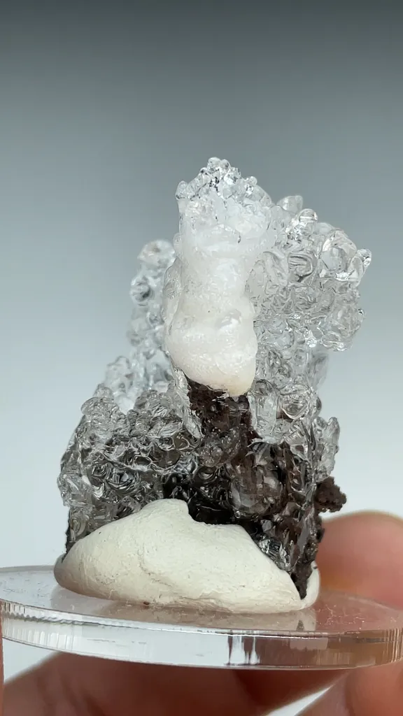 Opal-AN - image 3