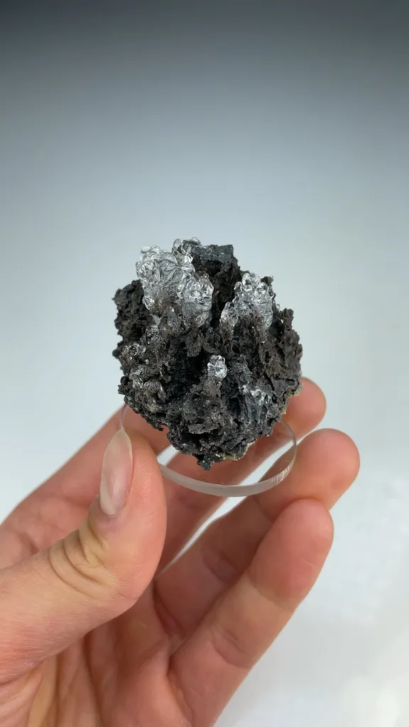 Opal-AN - image 3
