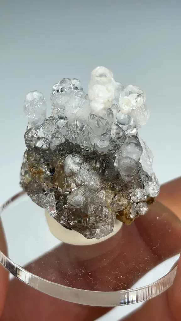 Opal-AN - image 3