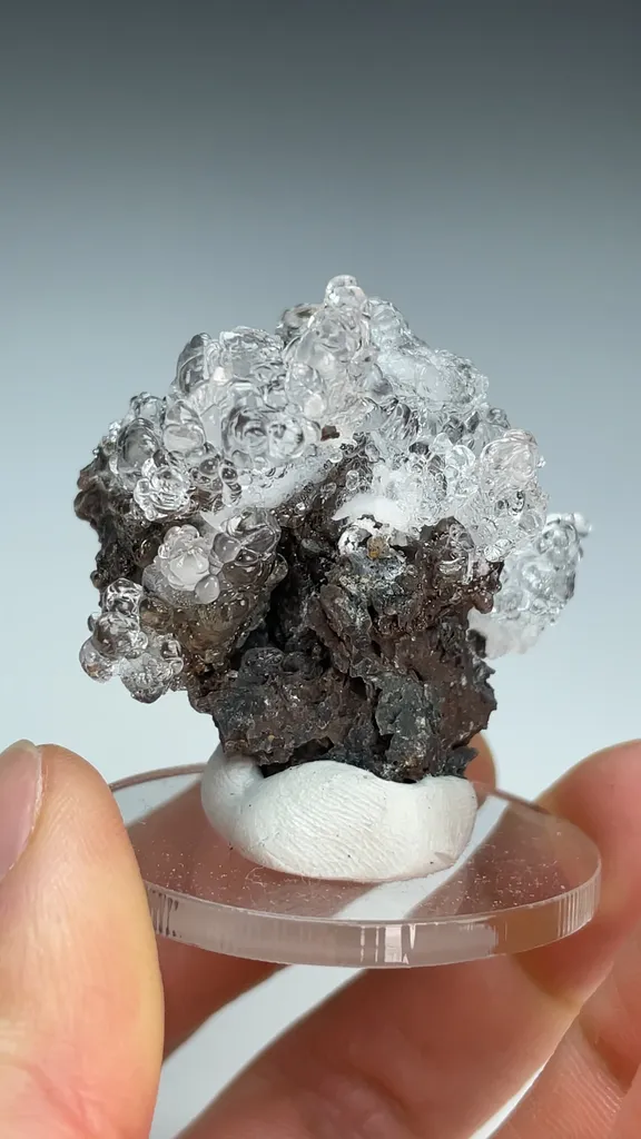 Opal-AN - image 3