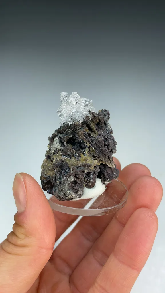 Opal-AN - image 3