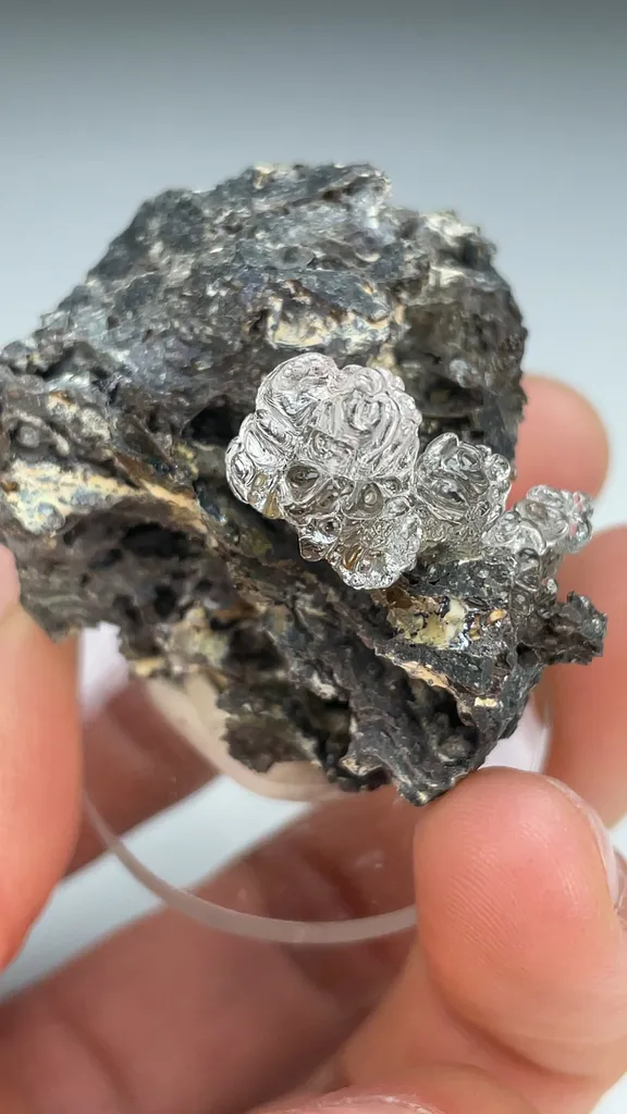 Opal-AN - image 3