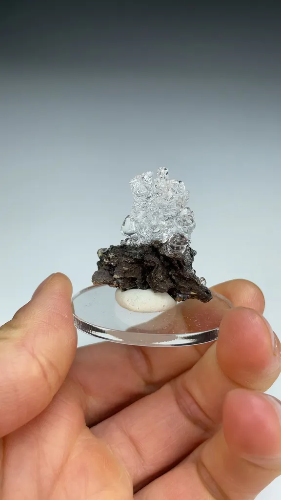 Opal-AN - image 3
