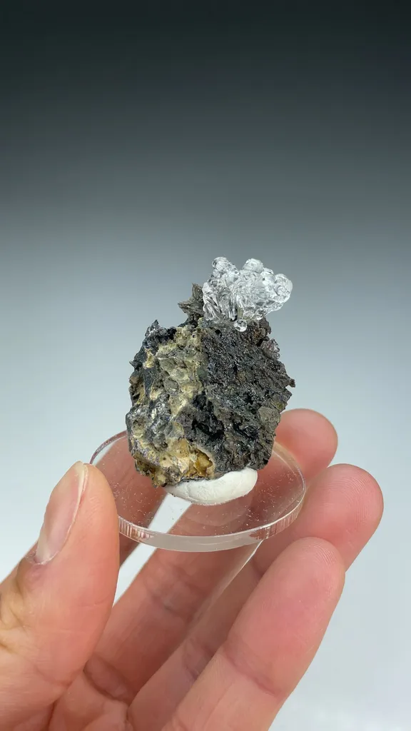 Opal-AN - image 3