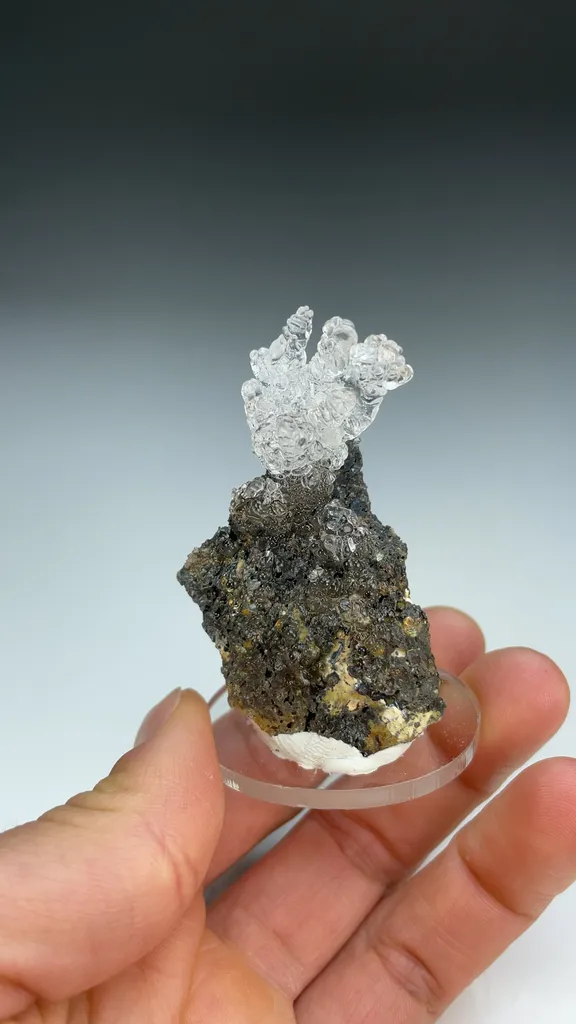 Opal-AN - image 3