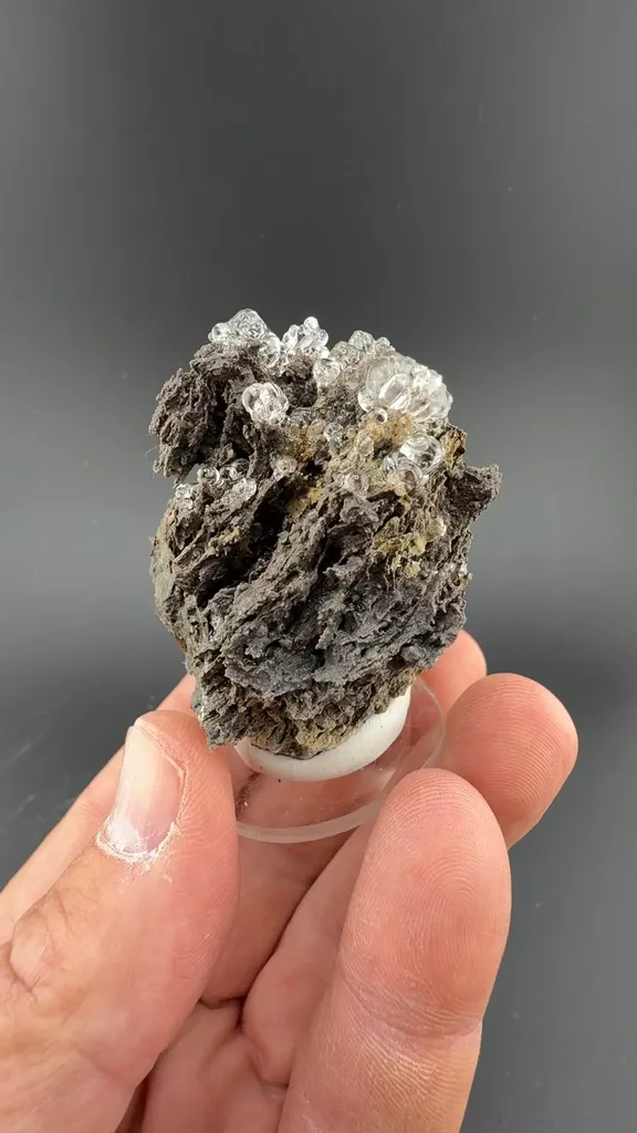 Opal-AN image