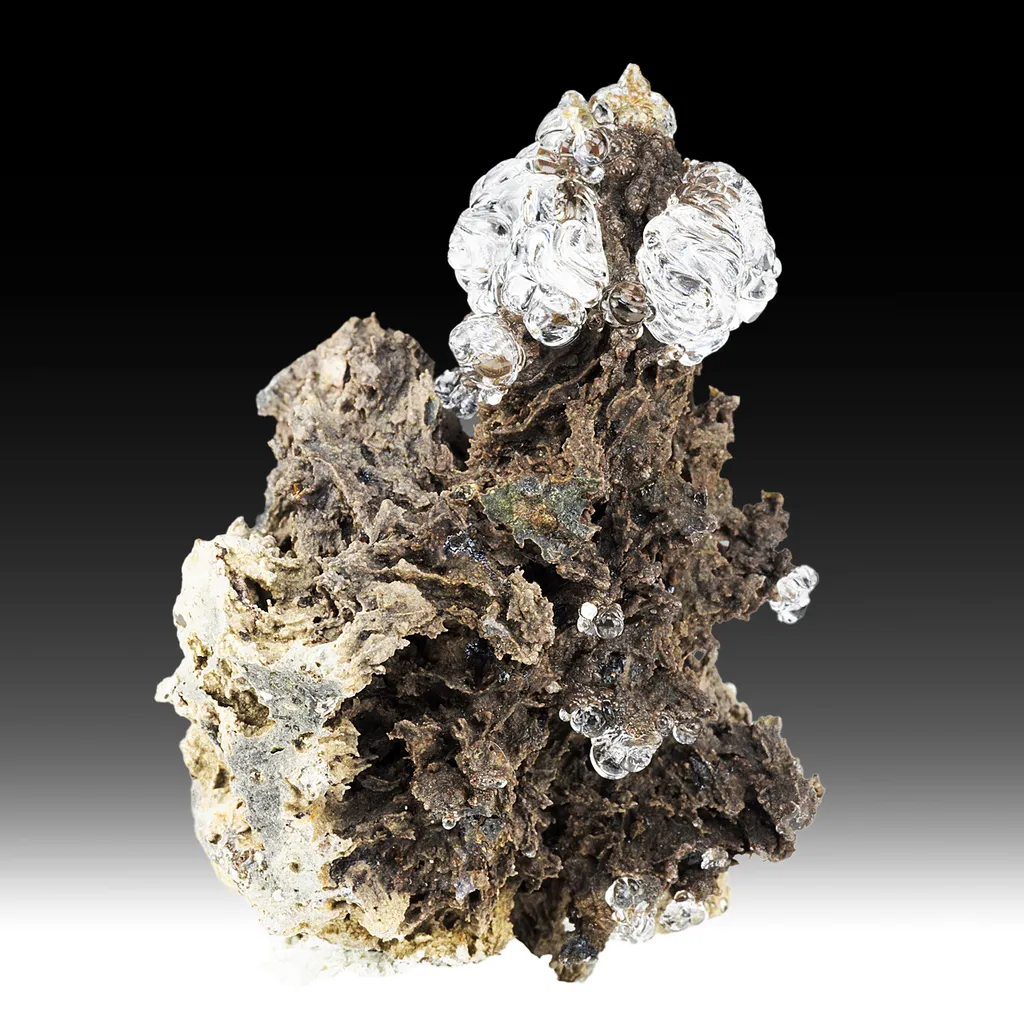 Opal-AN - image 2