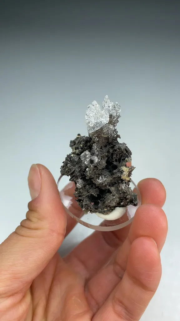 Opal-AN - image 3