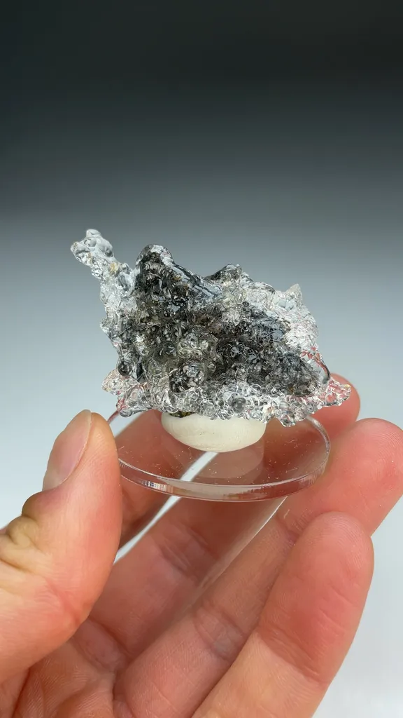 Opal-AN - image 3