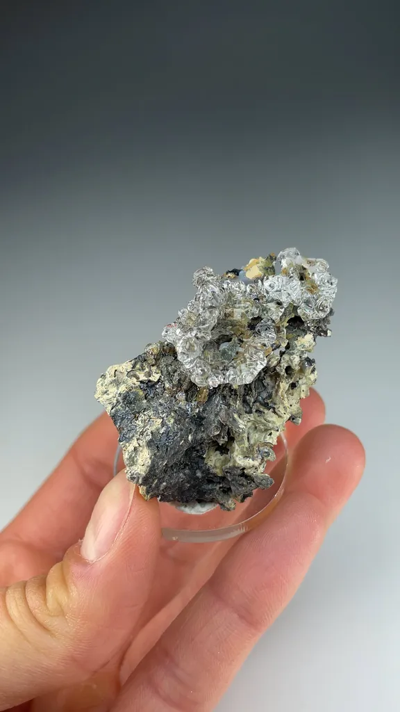 Opal-AN - image 3