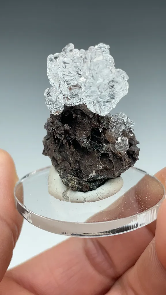 Opal-AN - image 3