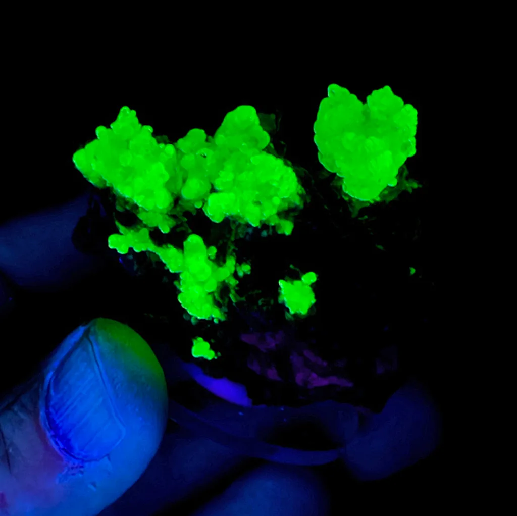 Opal-AN - image 1