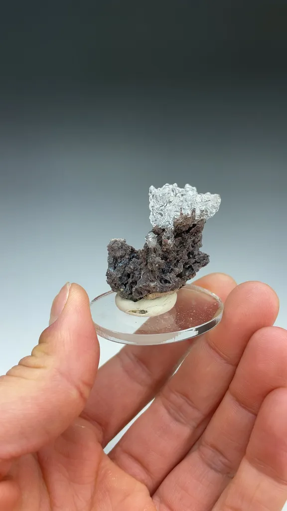 Opal-AN - image 3