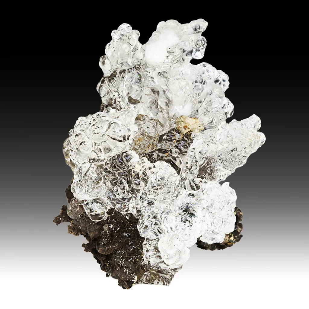 Opal-AN - image 2