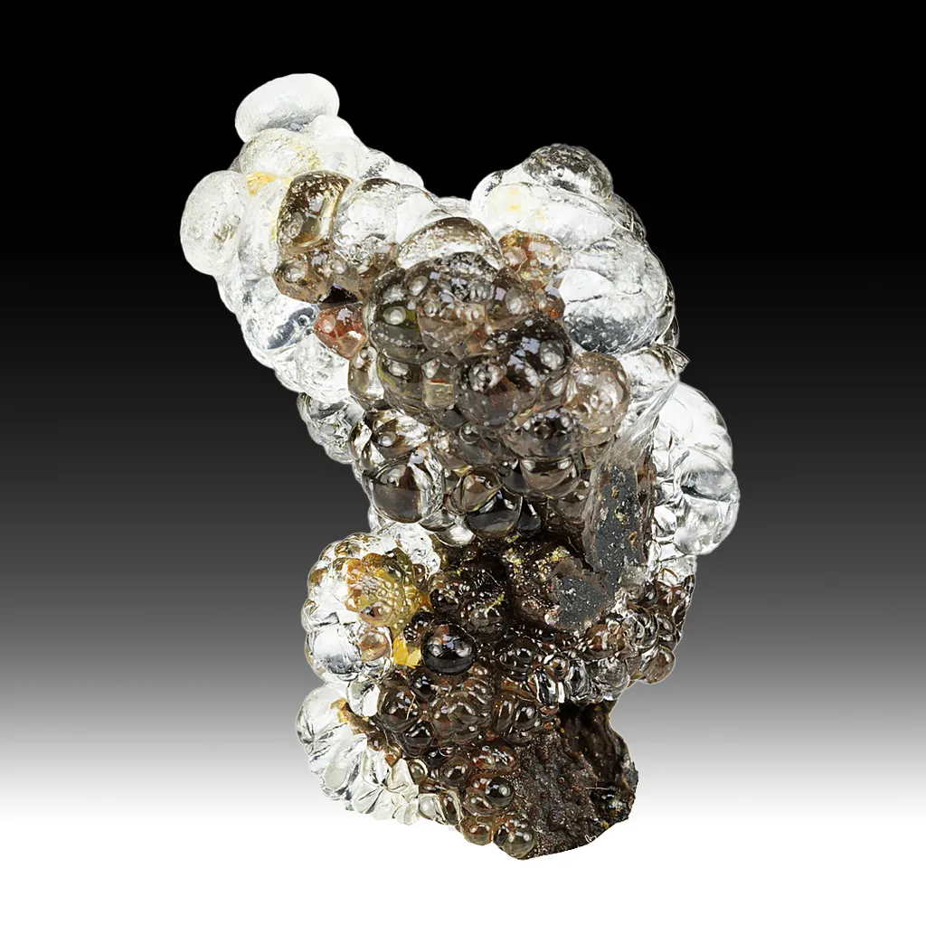 Opal-AN - image 2