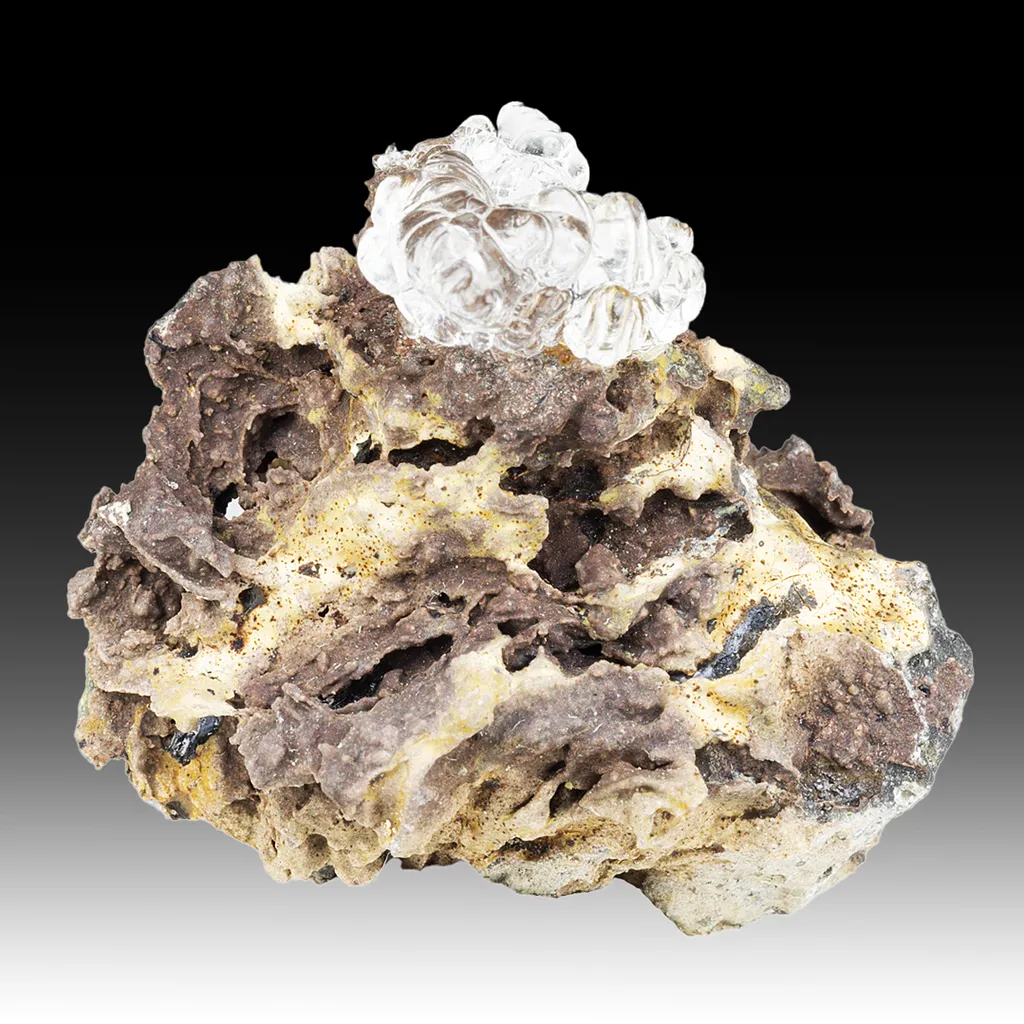 Opal-AN - image 2