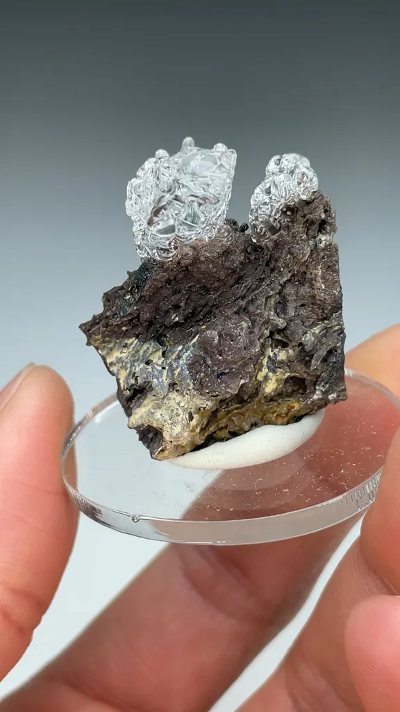 Opal-AN - image 3